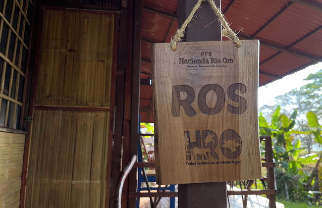 Hacienda Río Oro - Foto 22