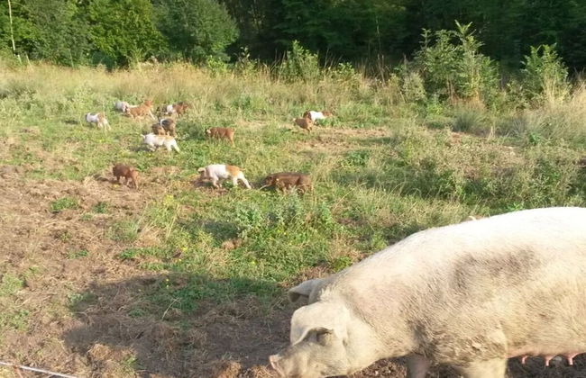 Richter 2 Comfortable Holiday Residence - Photo 8