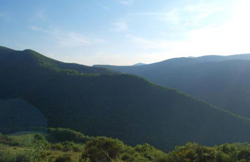 Agriturismo Becerca Vegan - Foto 46