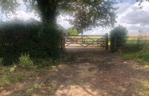 Willow Lodge 1 - Photo 21