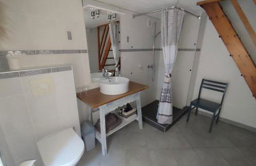 La Pigoussette - Photo 21