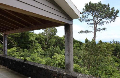 Casas do Caminho Novo - Photo 11