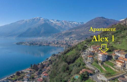 Apartment Alex 1 in Domaso - Photo 19
