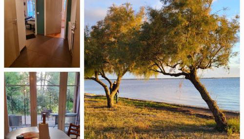 Sur le bassin d'Arcachon - Photo 2