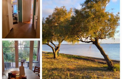 Sur le bassin d'Arcachon - Foto 2