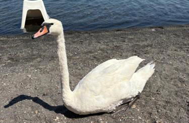 La Casetta di Francesca,Anguillara Sabazia - Foto 18