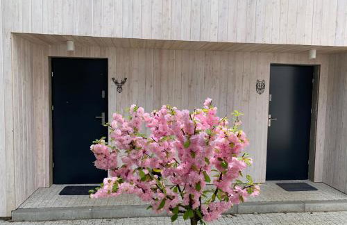 Masz Ci Las - Foto 28