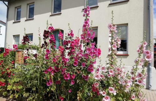 Ferienwohnung ADMIRAL - Foto 21