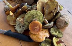 Czapla i Żuraw - Foto 41