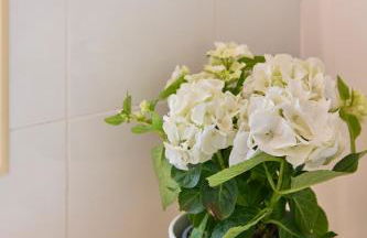 Pateo do Tempo - Foto 10