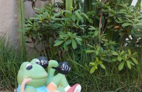 Casa da Ana - Foto 51