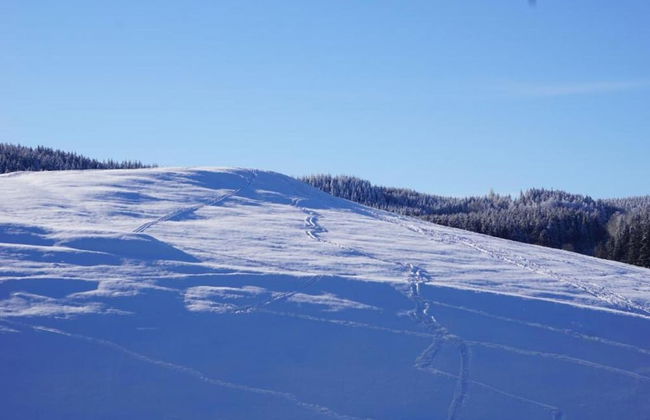 Sunny Terrace & Quiet Stay - Foto 26