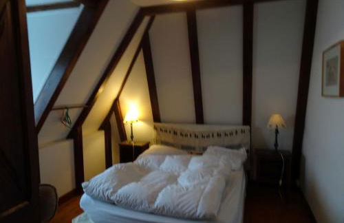 Chalet avec vue panoramique sur le Plomb du Cantal - Foto 13