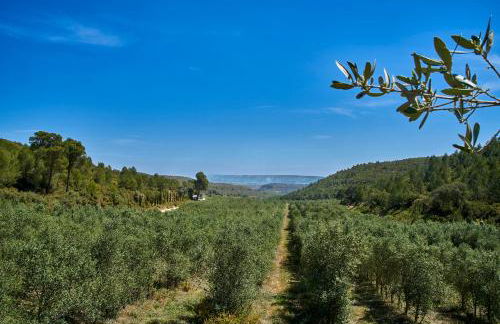 Masia Heredad La Boquilla - Foto 114