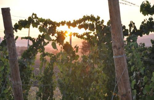 Morami Wine Agriturismo - Foto 21