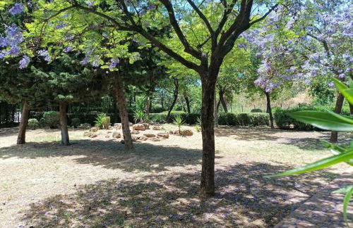 Casa Micho - Foto 42