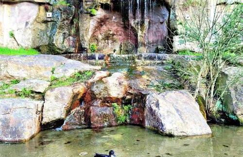 Ferienwohnung Festungsblick Königstein - Foto 24