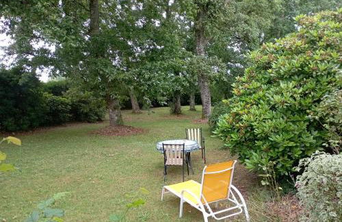 Charmant T1 avec jardin - Foto 6