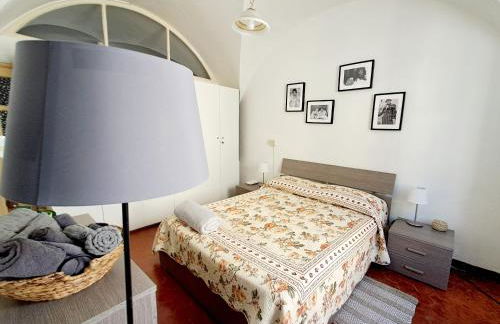 Final Mente - Foto 17