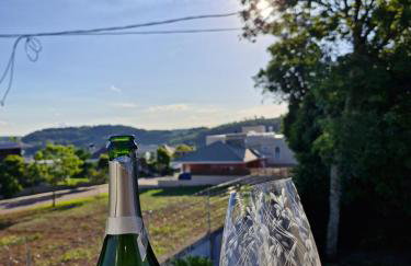 Residência Vista Vale Vinhedos! - Foto 35