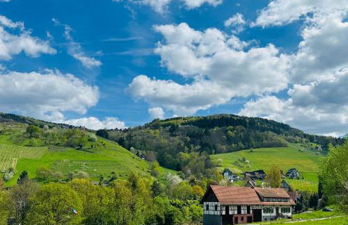 Apartment Kneer - Panoramic View & Private Garden near Black Forest & Lake Constance - Foto 8