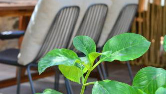 Mas Salvador Rural Experience - Photo 4