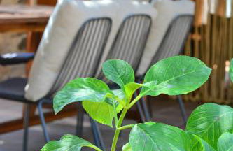 Mas Salvador Rural Experience - Photo 4