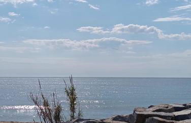 MM4-Apto en 1ª linea de playa - Photo 21