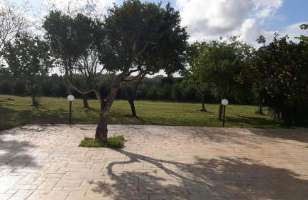 Tenuta Pizzi - Photo 43