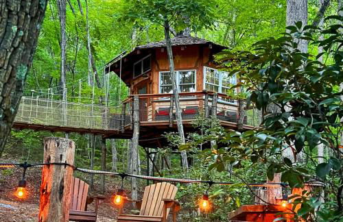 Treehouse wFull Disc Golf CourseDog Friendly - Foto 19