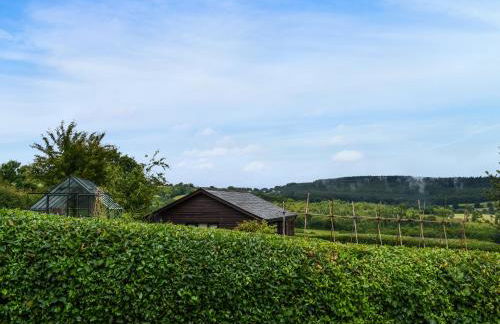 Bryn Cosyn - Foto 12