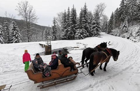 Strefa Ciszy -Lawenda - Foto 19