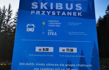 Apartament Czarna Góra TIGNES 4 Sienna - Foto 20