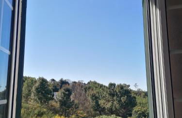 Abrigo do Monte - Foto 22