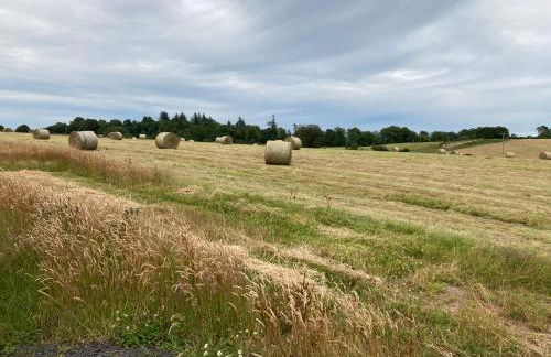 Westertonhill Lodge - 3 Double Bedrooms Sleeps 8 With Private Hot Tub Hire Available - Foto 27