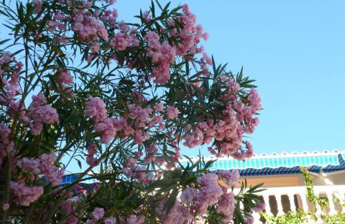 Villa Maxine - Foto 49