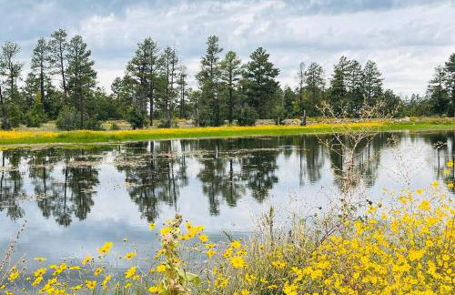 Charming Log Cabin in Tall Pines with Fire Pit Near Trails & Lake - Foto 26