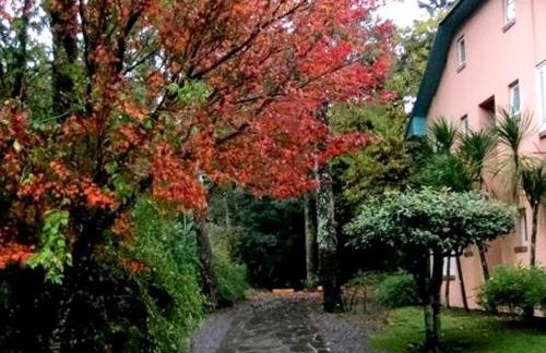 Apartamento Família Sirangelo - Foto 27