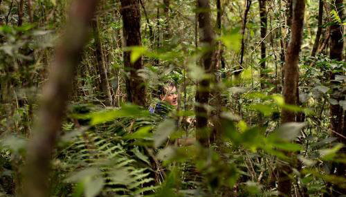 Alugo minha casa na floresta! - Foto 5