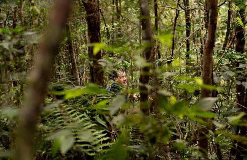 Alugo minha casa na floresta! - Foto 5