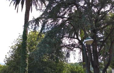 OFERTA ESPECIAL ÚLTIMA HORA - SARAKATUA15 - vistas espectaculares - familias y parejas - 2 dormitorios independientes - amplio salón cocina comedor - tarjeta parking OTA GRATIS - Julio y agosto estancia mínima 7 noches de domingo a domingo - - Foto 48