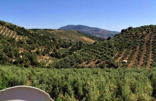 Country House in Andalusia with Pool - Foto 40