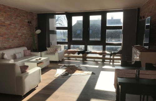 HeideZeit 3 - Foto 4