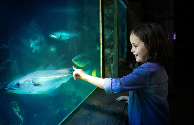 Thyboron Cottages - Foto 17