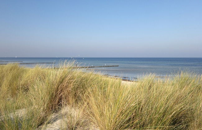 Quaint Bungalow Near Insel Poel With Garden - Photo 80