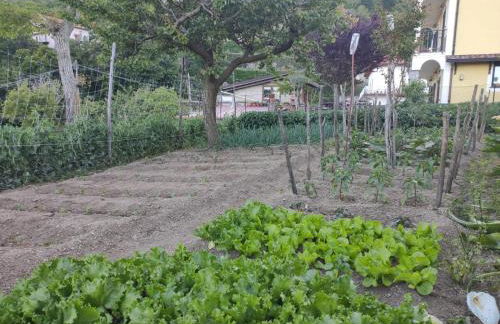 The Gods Brothers - Foto 10