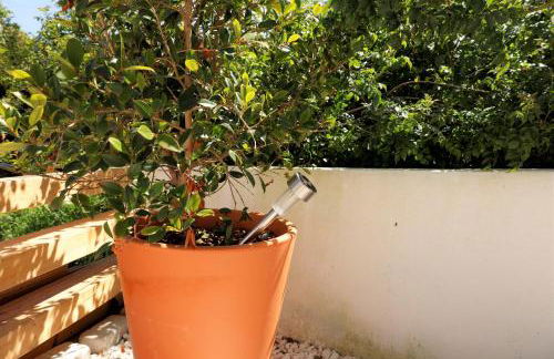 Casa com pátio-São Lourenço-Ericeira - Foto 16