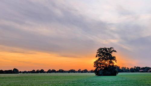 FeWo Elbtalaue - Foto 3