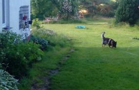 Ferienwohnung - a44958 - Foto 9