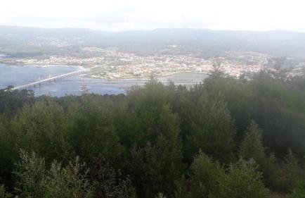 CASA abruñeiras - Foto 14